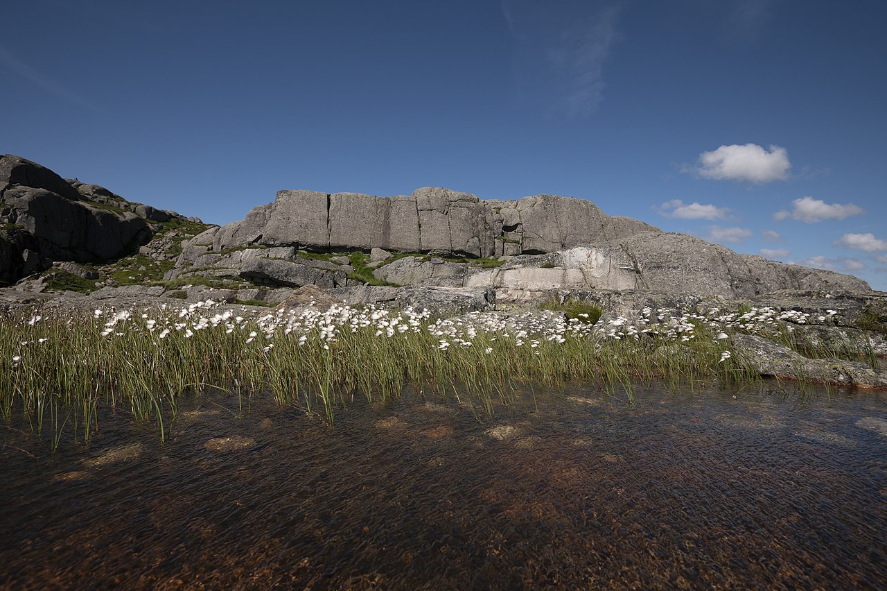 Preikestolen — Norway hiking