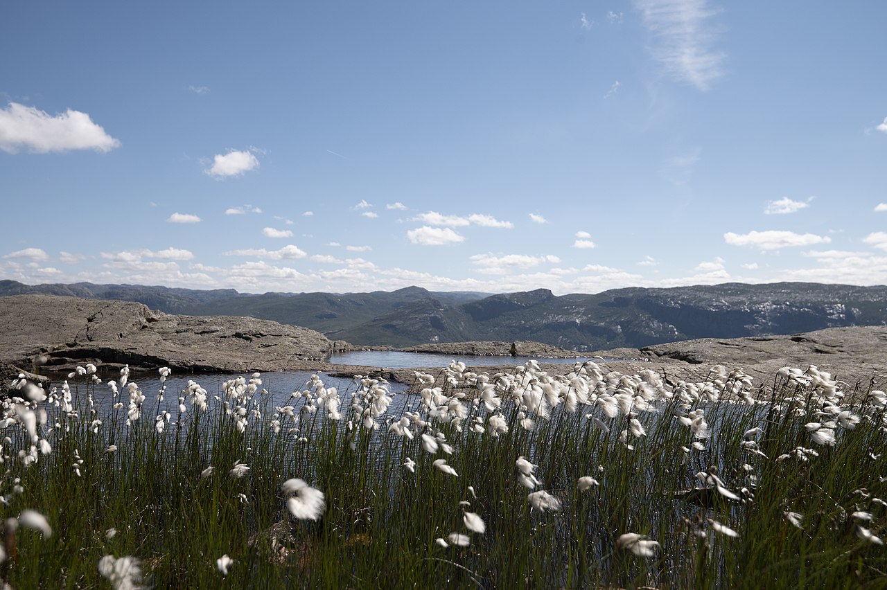 Preikestolen — Norway hiking