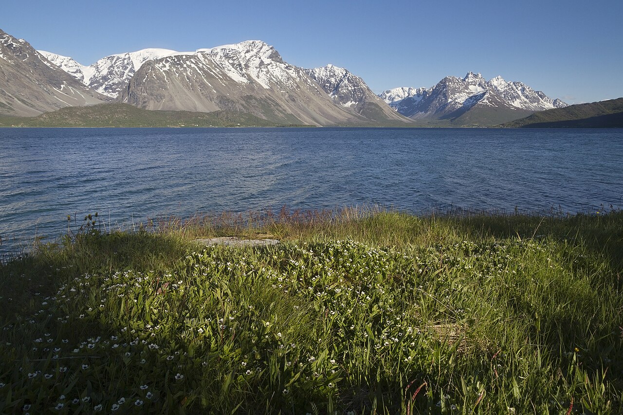 Jiehkkevárri — Highest Peak in Troms — Norway
